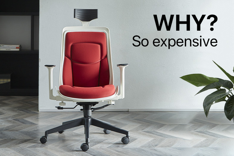 Why Are Ergonomic Office Chairs So Expensive?