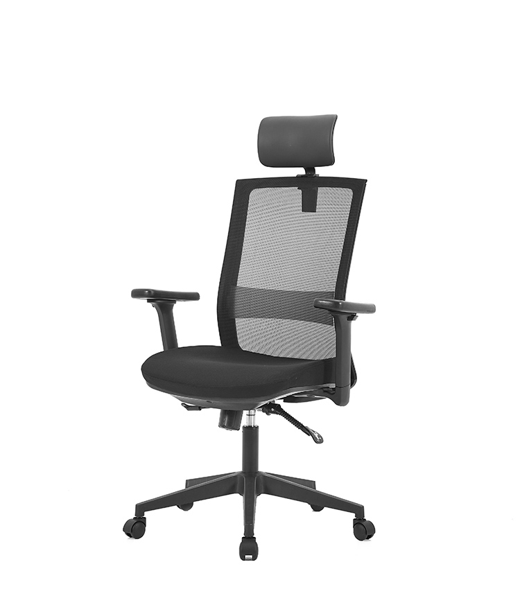 Ergonomic Mesh Chair M20