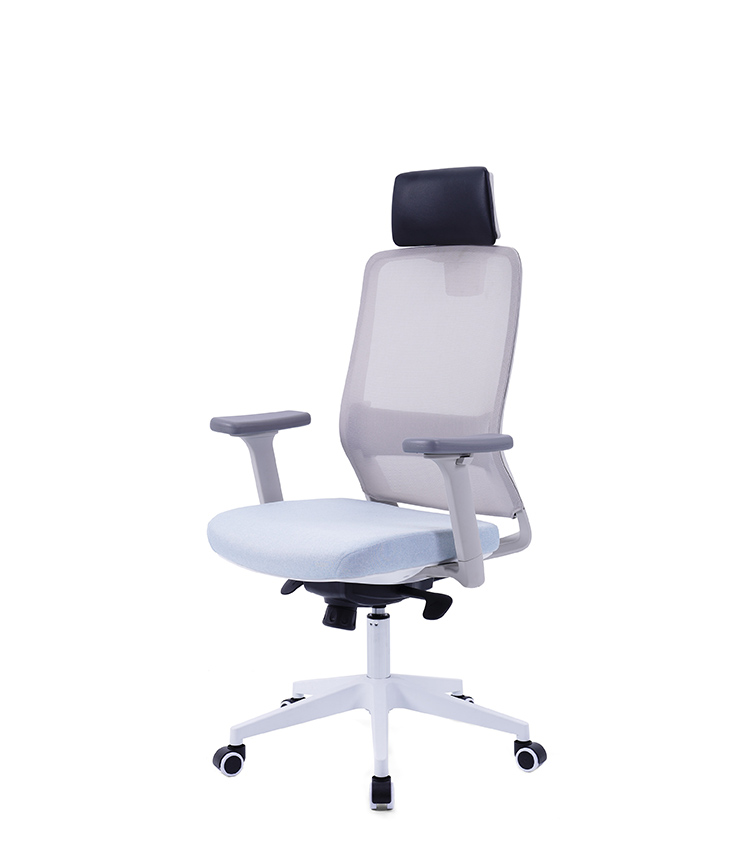 Posture Ergonomic Chair M30